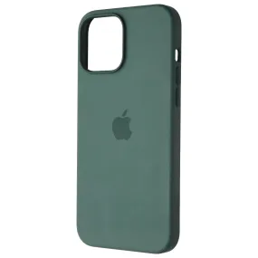 Apple Silicone Case for MagSafe for Apple iPhone 13 Pro Max - Eucalyptus Green