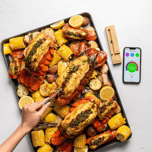 Meater Plus Smart Meat Thermometer