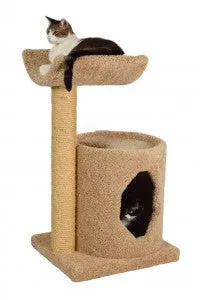 Molly and Friends Cradle Condo Two-tier Scratching Post Cat Furniture