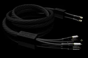 Signal Projects Andromeda Phono Interconnect XLR or RCA Cable