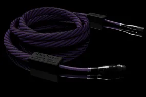 Signal Projects Ultraviolet Digital AES/EBU XLR 110Ω Cable